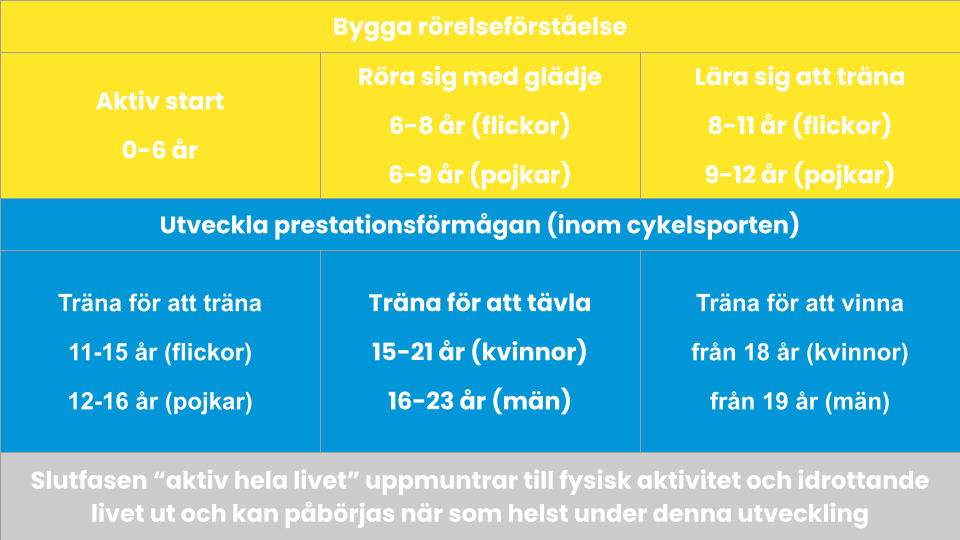 Översikt över utvecklingsmodellens olika faser